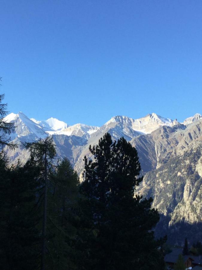 Apartmán Haus Gentiana A Grächen Exteriér fotografie